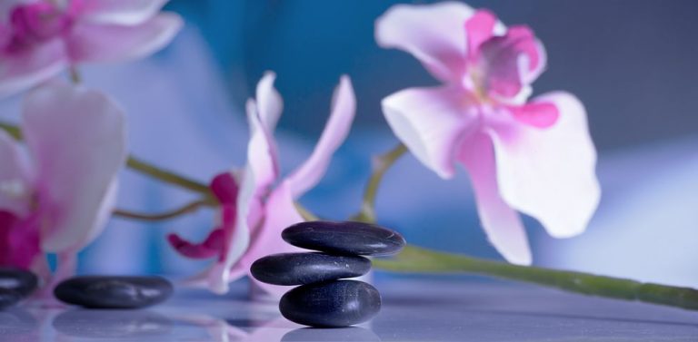 Pink Flowers and pebbles.