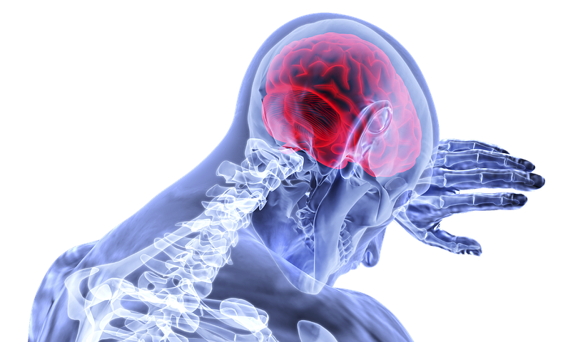 Pain red brain