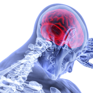 brain-3168269__480 Pain red brain
